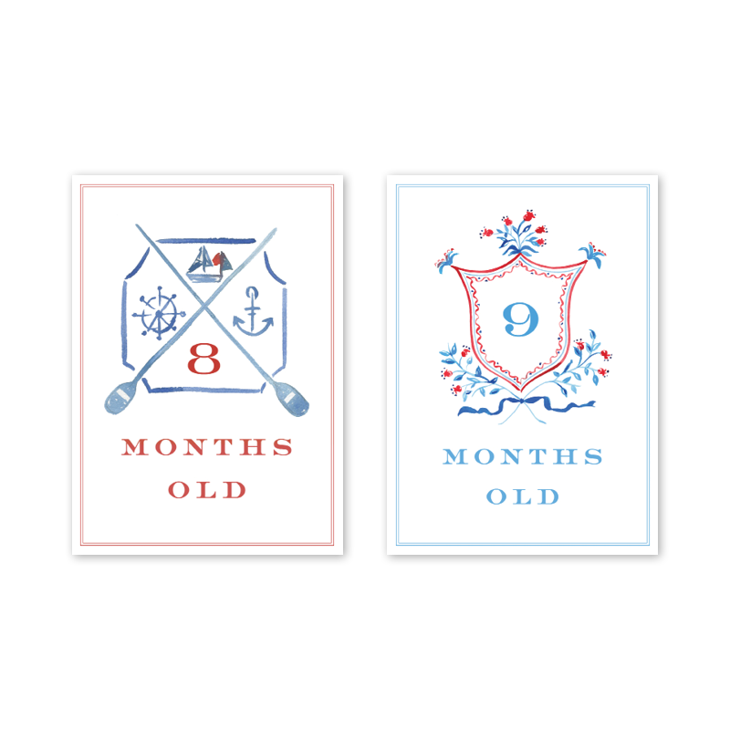 Joys of Boys: Milestone Cards - Set of 15