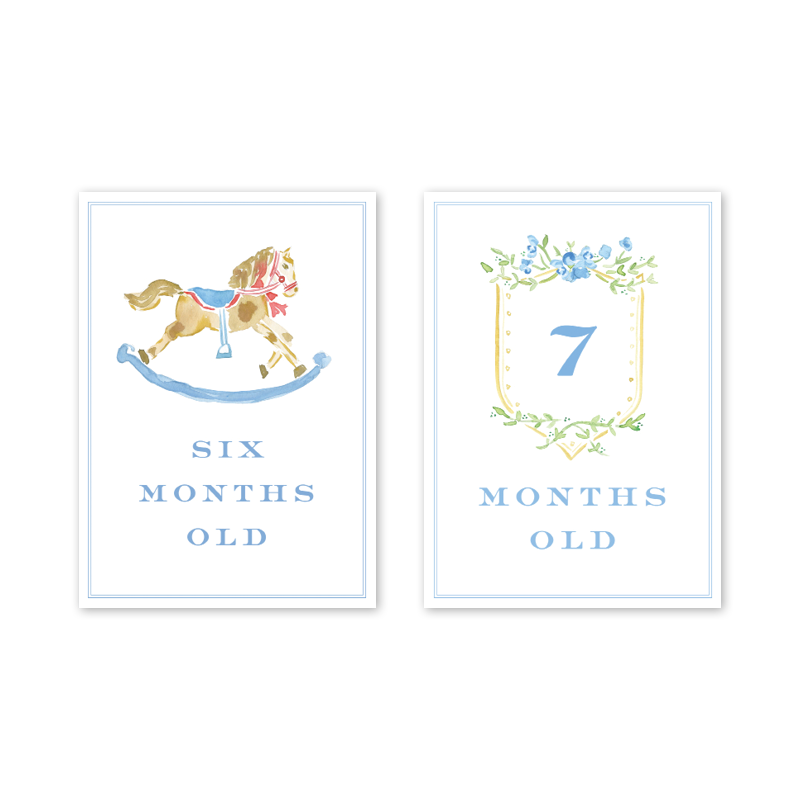 Joys of Boys: Milestone Cards - Set of 15