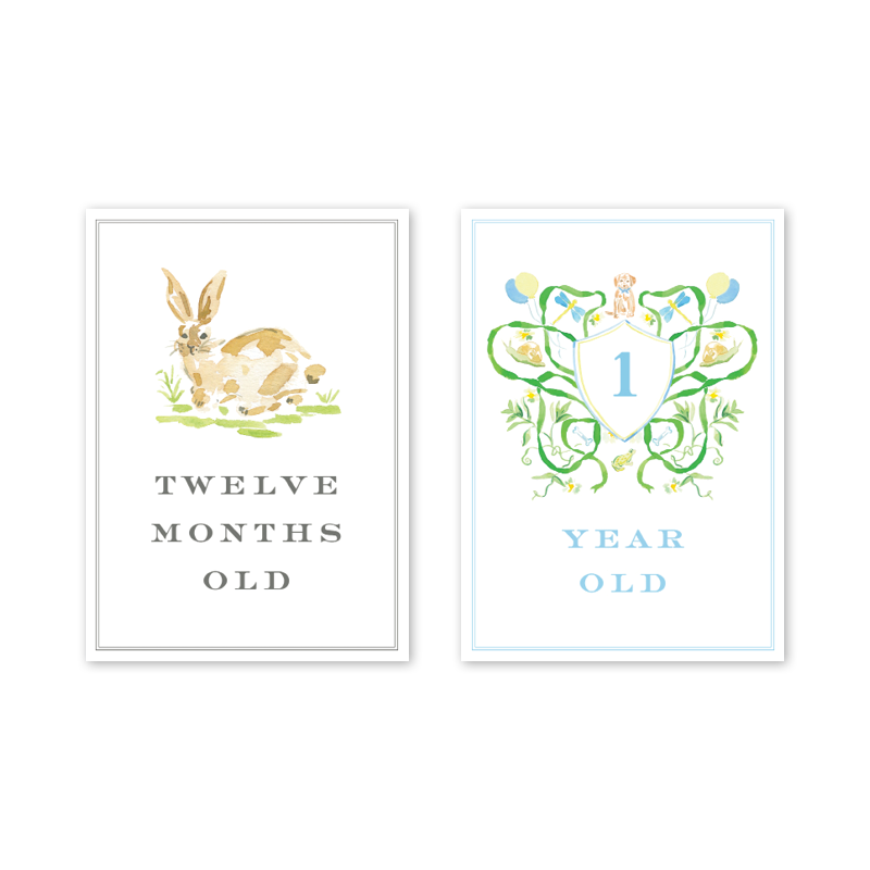 Joys of Boys: Milestone Cards - Set of 15