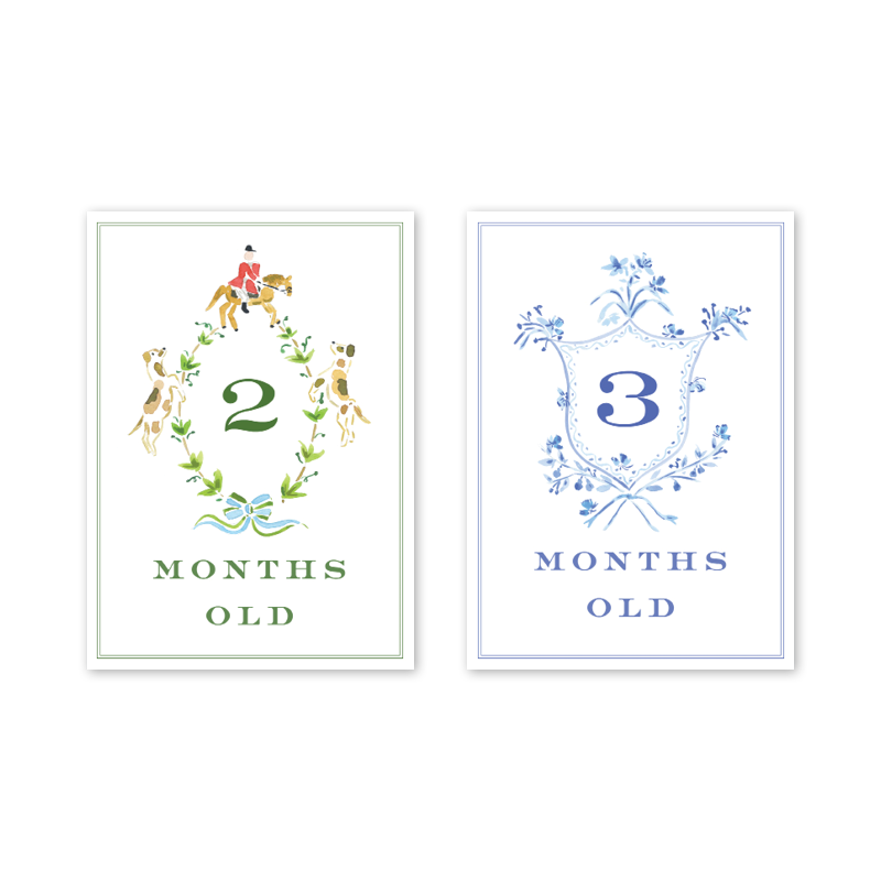 Joys of Boys: Milestone Cards - Set of 15