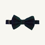 Baylor Bowtie