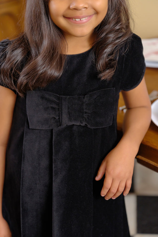 Darcy Dress - Velveteen