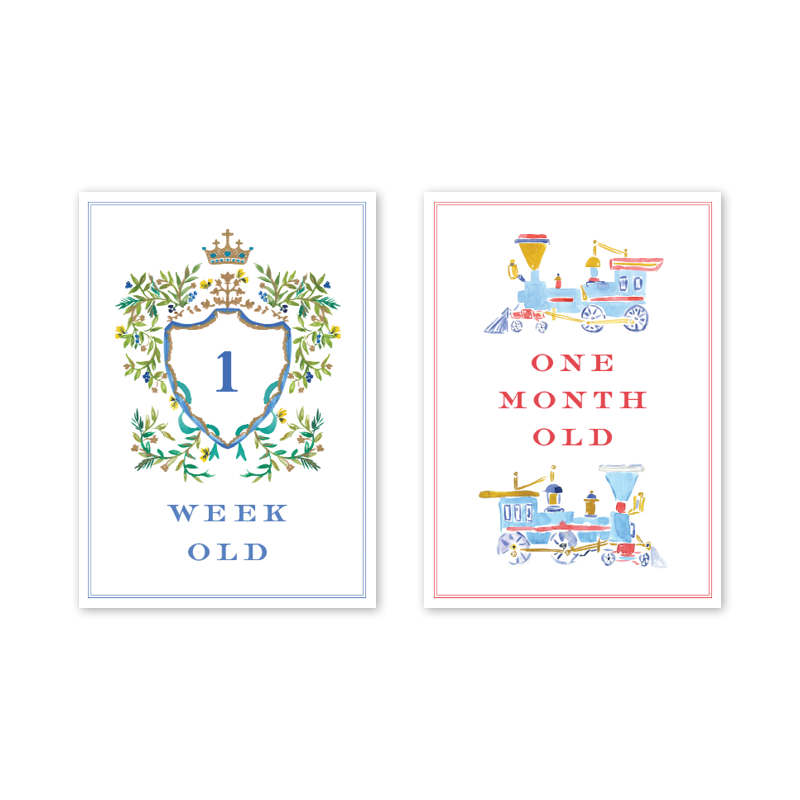 Joys of Boys: Milestone Cards - Set of 15