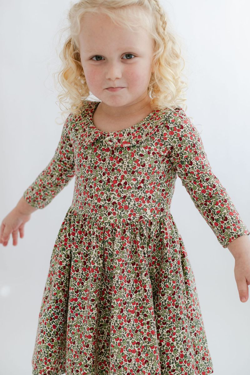 3/4 Sleeve Twirl Dress in Crimson Flora Collared