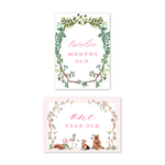 Woodland Pink Milestone Cards: Baby Milestone Cards - Set of 15