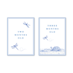 Snips and Snails Baby Milestone Cards: Milestone Cards - Set of 15