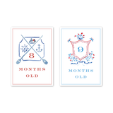 Joys of Boys: Milestone Cards - Set of 15
