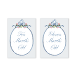 Joie Baby Milestone Cards
