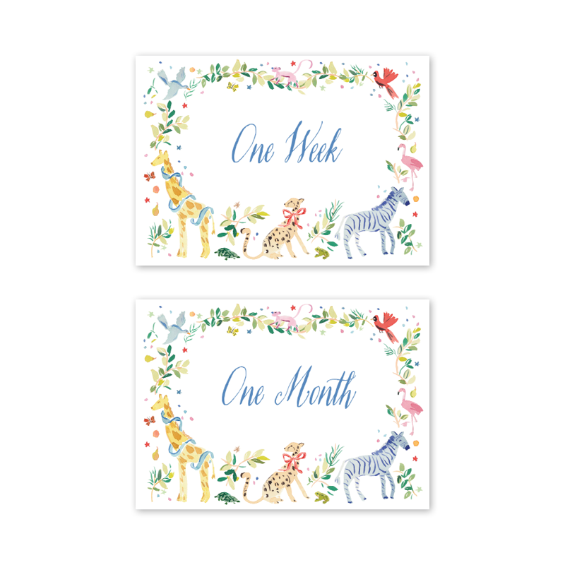 Animal Fete Baby Milestone Cards