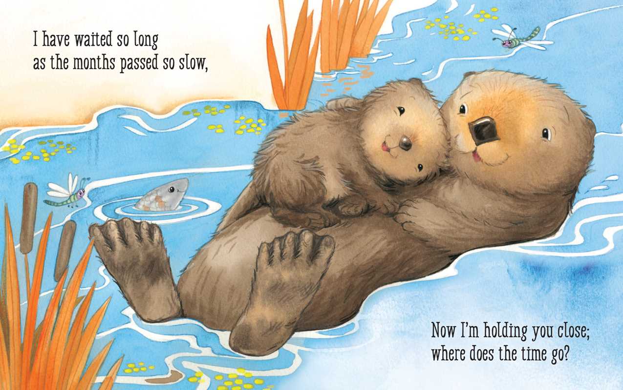 Forever My Baby by: Board Books; 20 pages / English