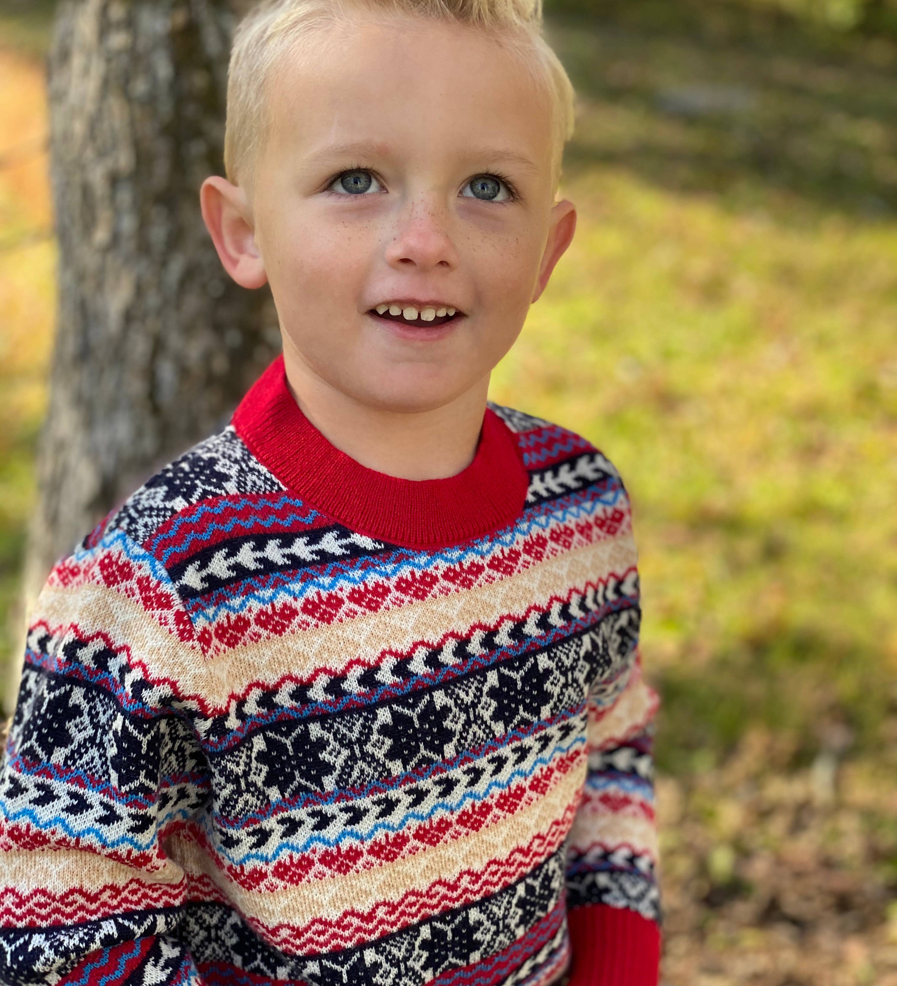 Winter Argyle Sweater