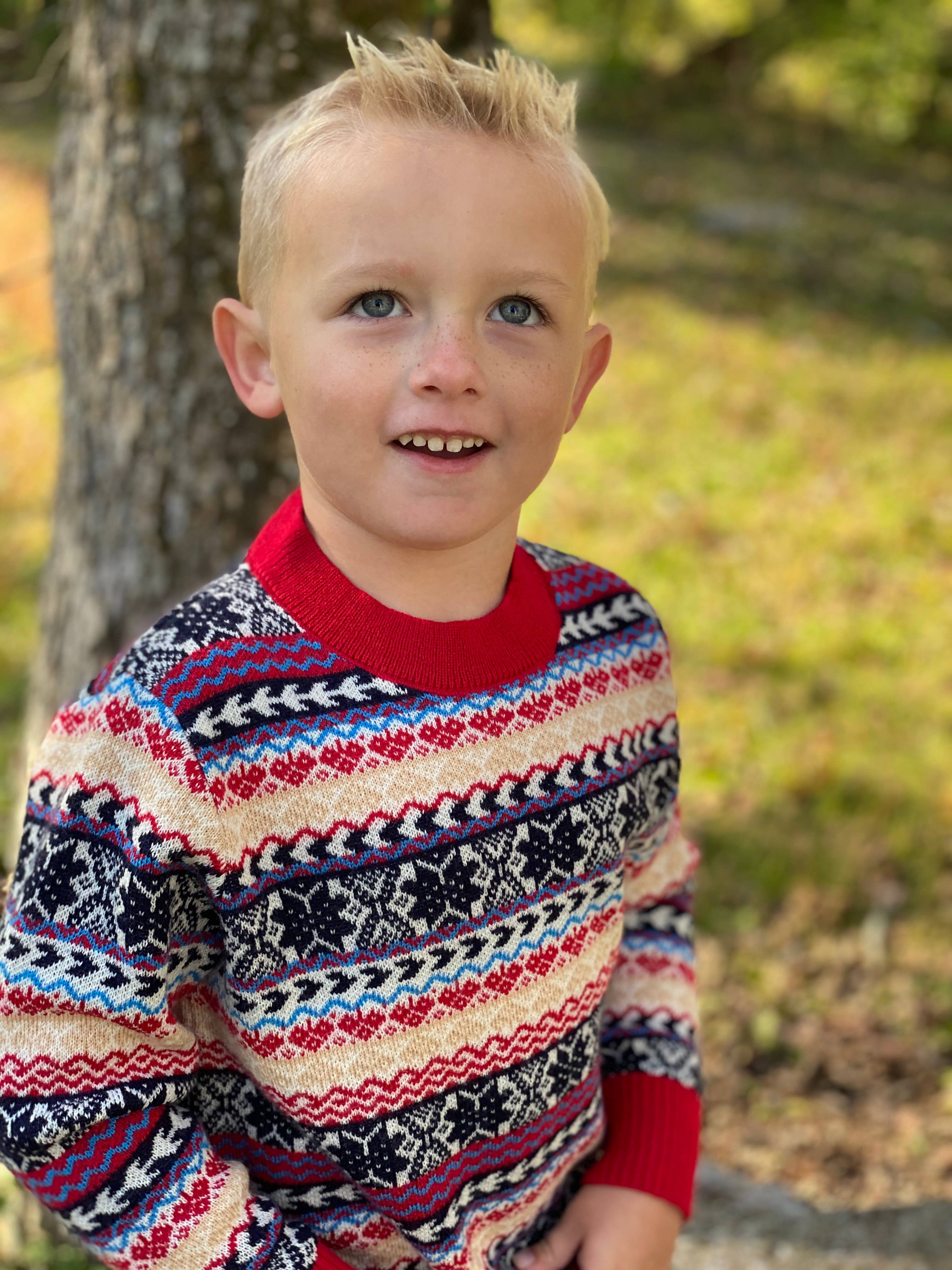 Winter Argyle Sweater