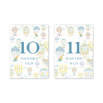 Balloon Festival Baby Milestone Cards