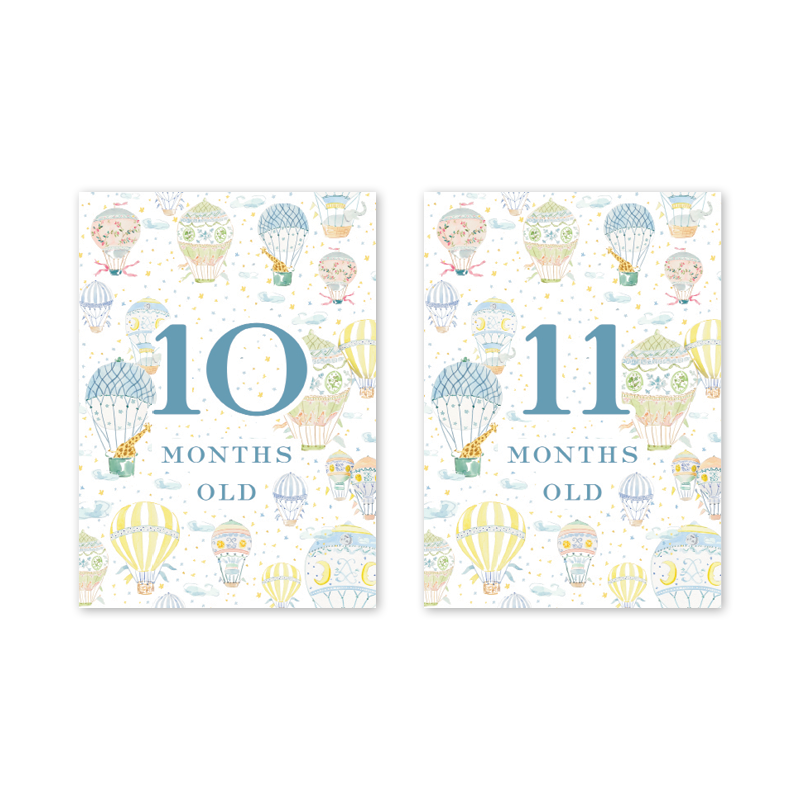 Balloon Festival Baby Milestone Cards