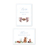 Woodland Blue: Milestone Cards - Set of 15