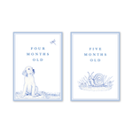 Snips and Snails Baby Milestone Cards: Milestone Cards - Set of 15