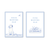 Snips and Snails Baby Milestone Cards: Milestone Cards - Set of 15