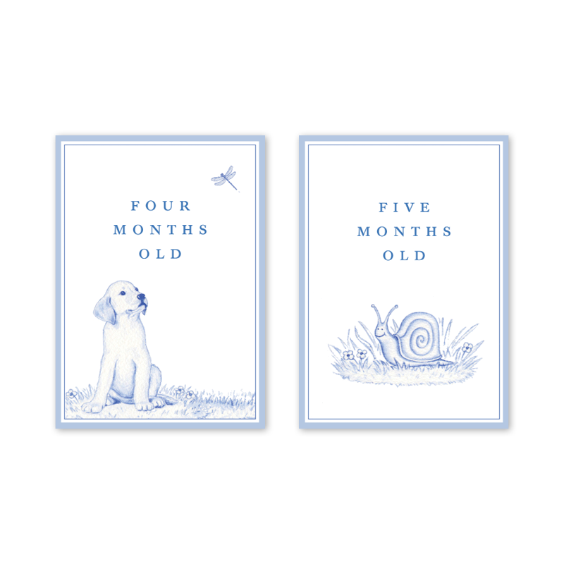 Snips and Snails Baby Milestone Cards: Milestone Cards - Set of 15