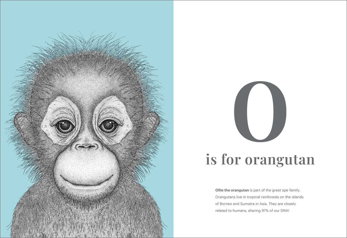 Animal Alphabet by