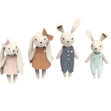 Rabbit Family