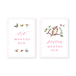 Woodland Pink Milestone Cards: Baby Milestone Cards - Set of 15