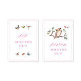 Woodland Pink Milestone Cards: Baby Milestone Cards - Set of 15