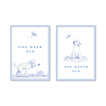 Snips and Snails Baby Milestone Cards: Milestone Cards - Set of 15