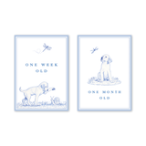 Snips and Snails Baby Milestone Cards: Milestone Cards - Set of 15