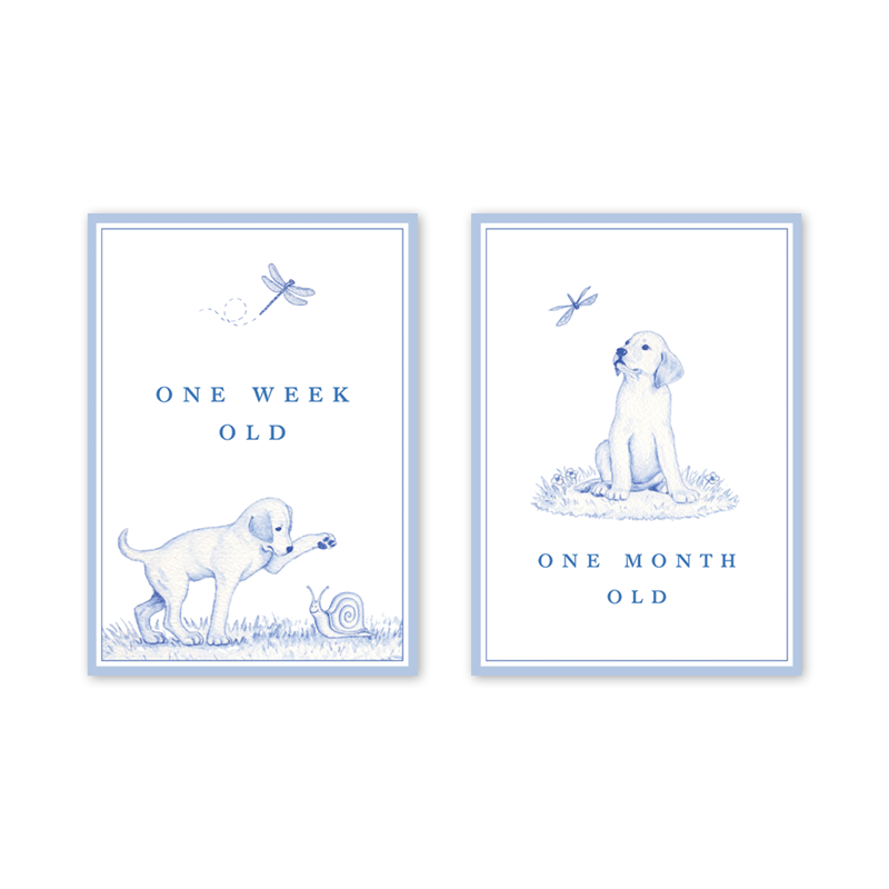 Snips and Snails Baby Milestone Cards: Milestone Cards - Set of 15