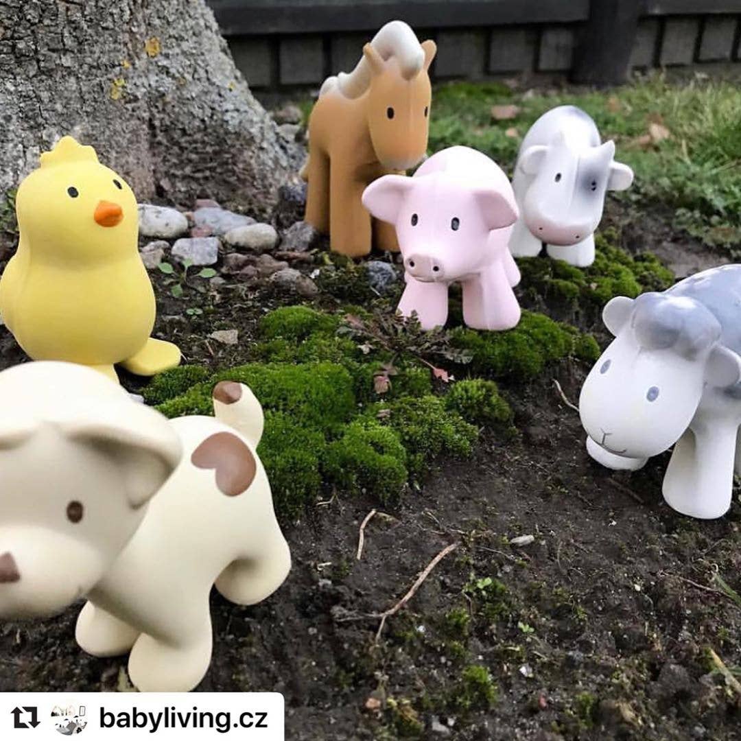 Chick Natural Organic Rubber Teether, Rattle & Bath Toy