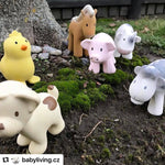 Chick Natural Organic Rubber Teether, Rattle & Bath Toy