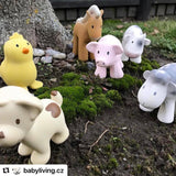 Chick Natural Organic Rubber Teether, Rattle & Bath Toy