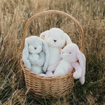 Little 12" Nibble Bunny - Pink