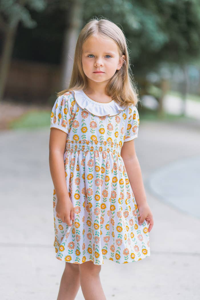 St. Remmy Pima Cotton Knit Girls Smocked Dress