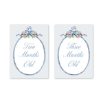 Joie Baby Milestone Cards