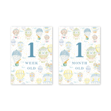 Balloon Festival Baby Milestone Cards