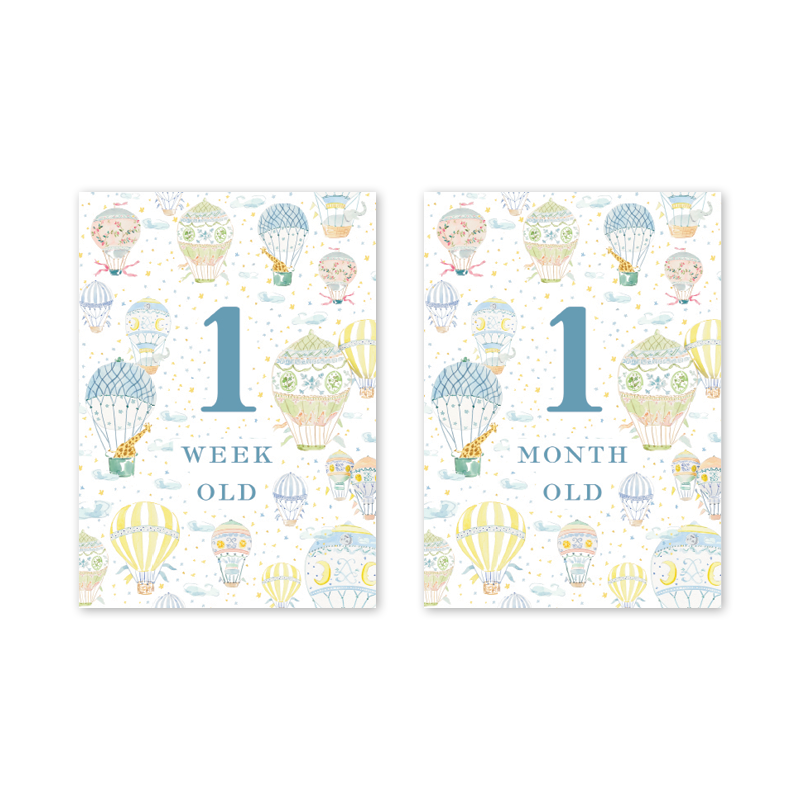 Balloon Festival Baby Milestone Cards