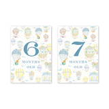 Balloon Festival Baby Milestone Cards