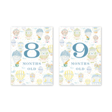 Balloon Festival Baby Milestone Cards