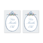 Joie Baby Milestone Cards