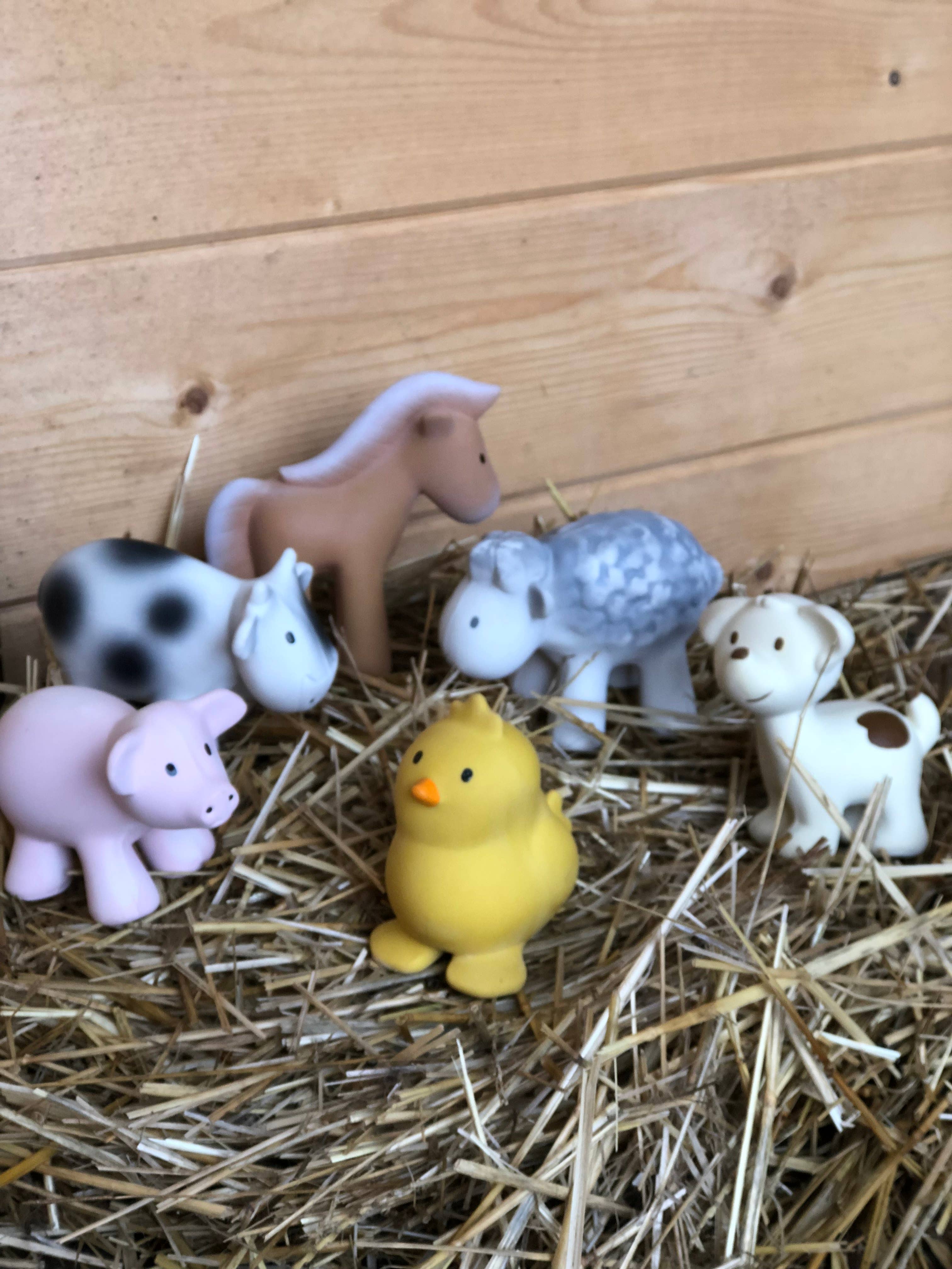 Chick Natural Organic Rubber Teether, Rattle & Bath Toy