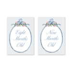 Joie Baby Milestone Cards