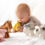 Pig Natural Organic Rubber Teether, Rattle & Bath Toy