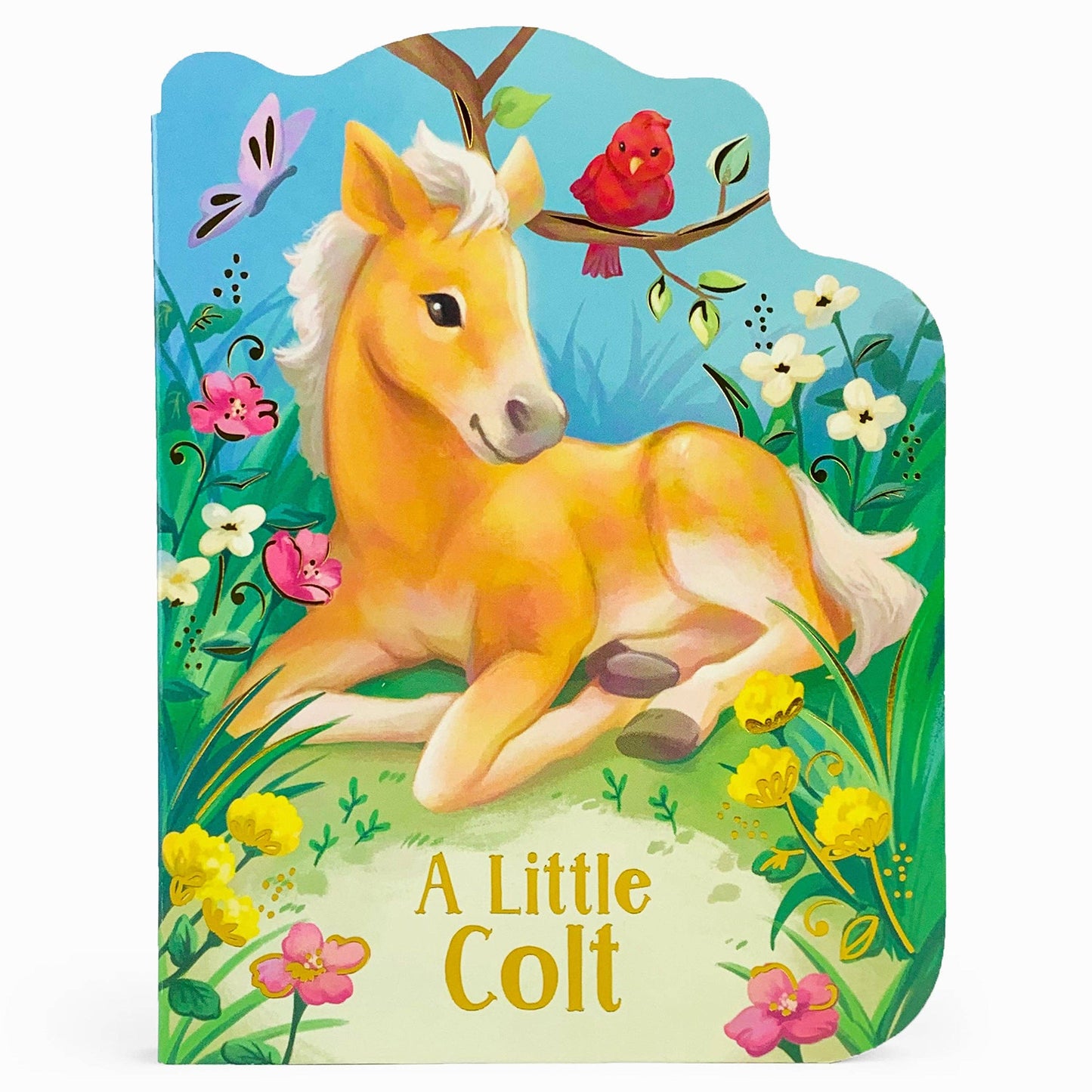 A Little Colt Shaped Board Book