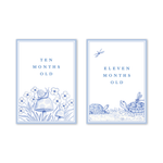 Snips and Snails Baby Milestone Cards: Milestone Cards - Set of 15