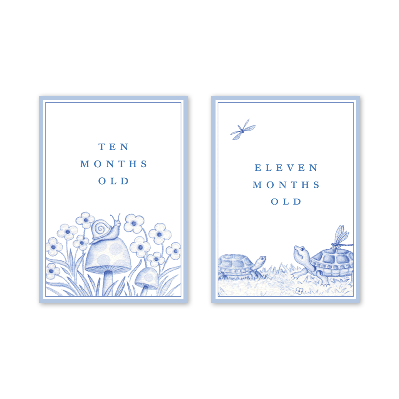 Snips and Snails Baby Milestone Cards: Milestone Cards - Set of 15
