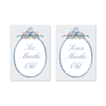 Joie Baby Milestone Cards