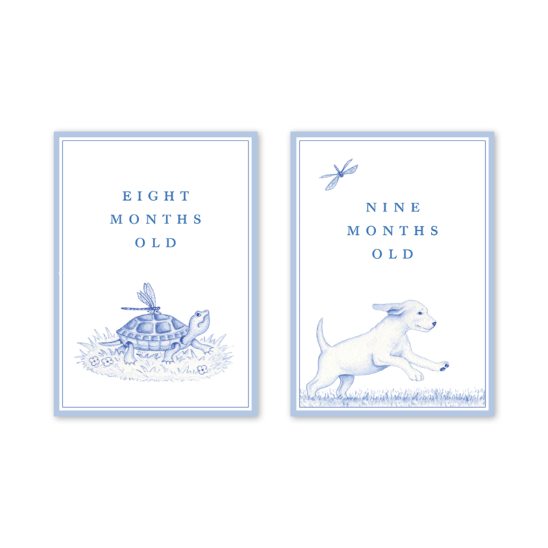 Snips and Snails Baby Milestone Cards: Milestone Cards - Set of 15