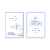 Snips and Snails Baby Milestone Cards: Milestone Cards - Set of 15