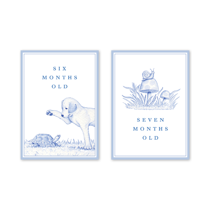 Snips and Snails Baby Milestone Cards: Milestone Cards - Set of 15